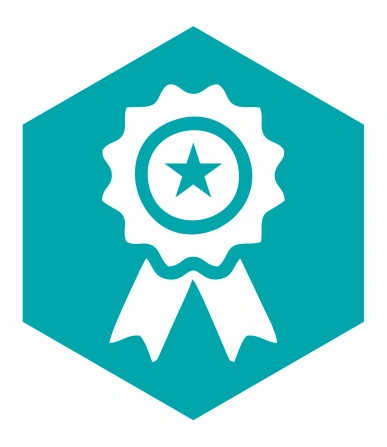 Icon description